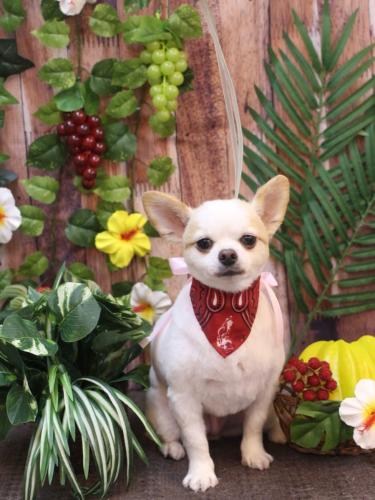 20230801モナちゃん